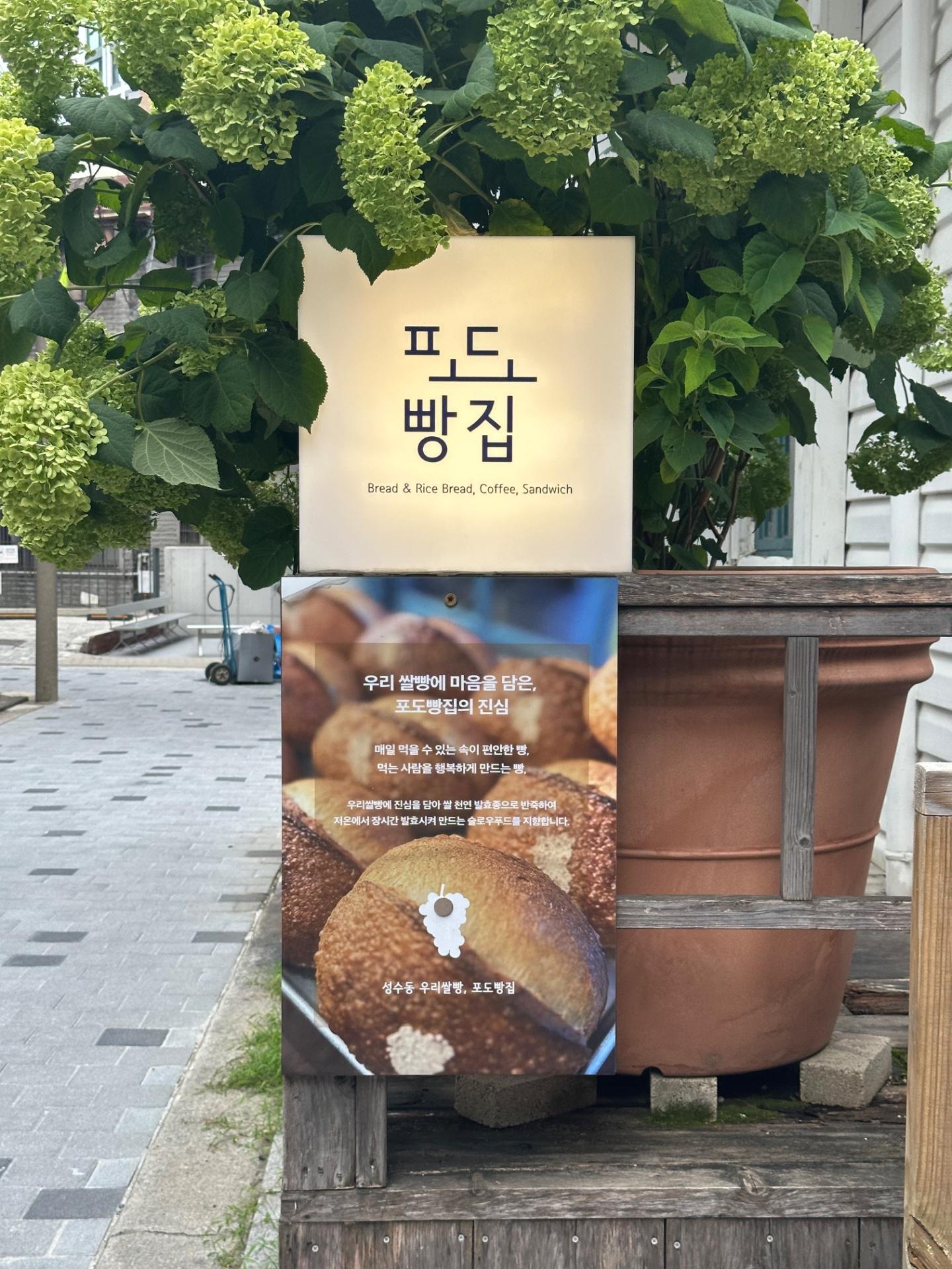 포도 빵집 (서울숲)