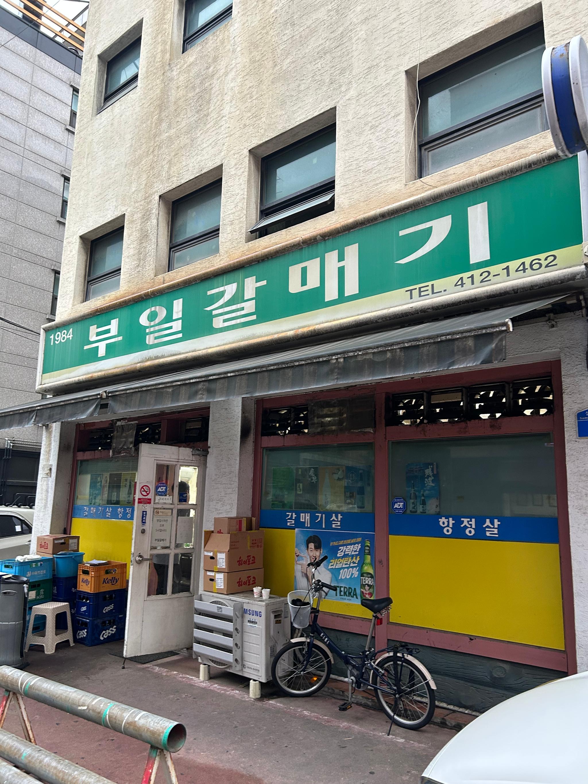 부일갈매기