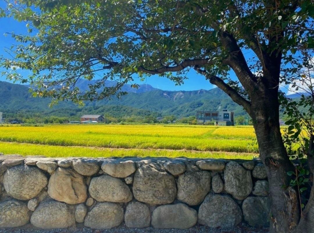 스테이오롯이